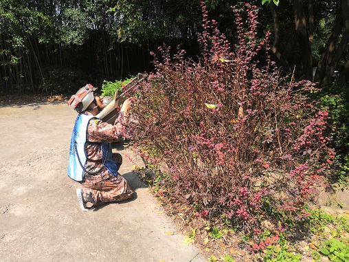 陕西西安拓展训练中的生存墙，我们翻过去了